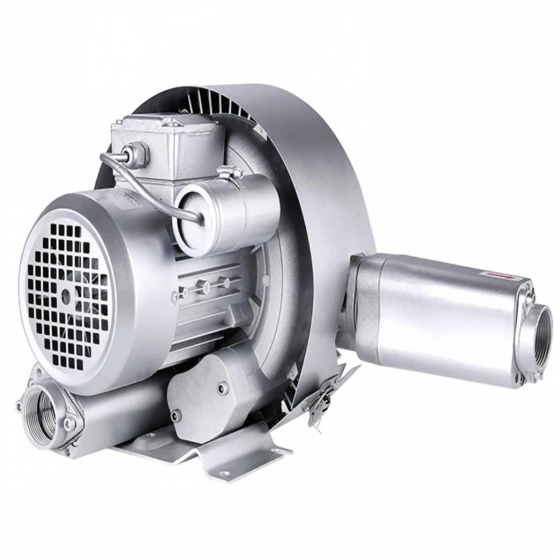 Double Stage Air Pump Industrial Duty best